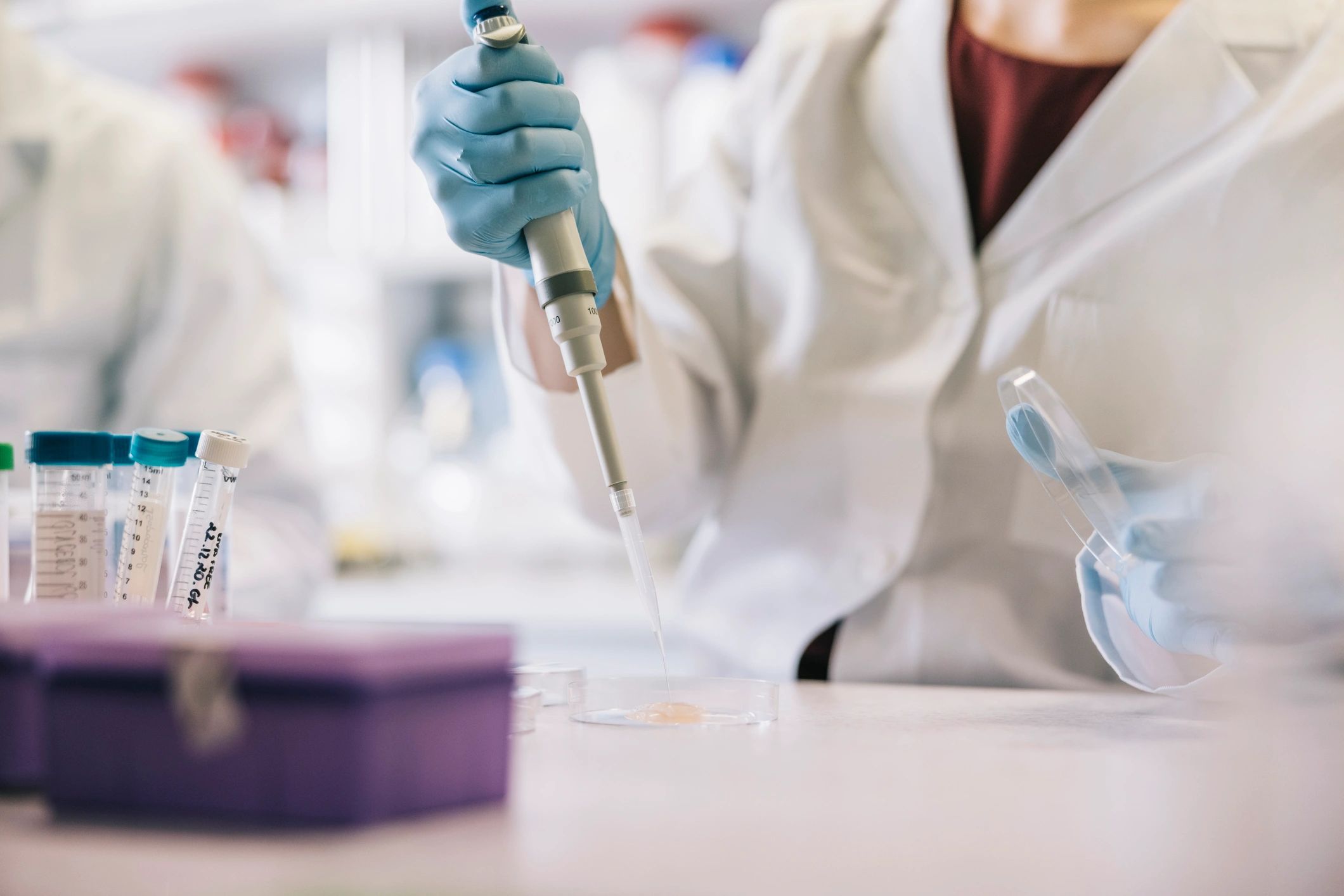 Scientist hands using a pipette to handle laboratory samples